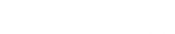 Angonjiwo2 logo